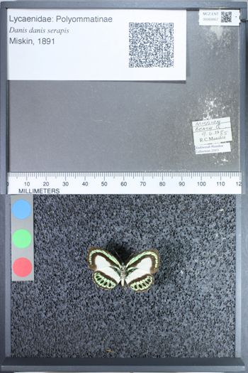 Media type: image;   Entomology 69957